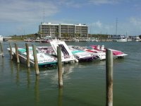 Copy (2) of Key West 05 011.jpg