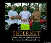Internet stupidity.jpg