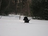 IMG_1292.jpg