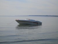 IMG_3136.jpg