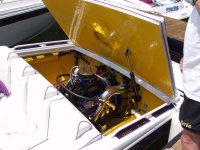 Griff10-800.jpg
