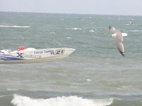 OceanCity (238) (Large).JPG