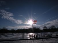 back yard 111.jpg