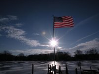 back yard 120.jpg