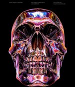 luca skull.jpg