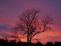 Foliage '05 017.jpg