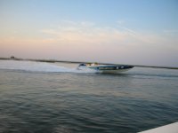 IMG_0135.jpg