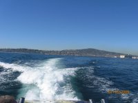 IMG_0087.jpg