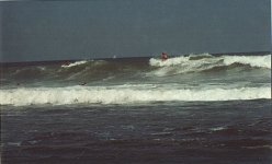 n690518532_1214498_7417.jpg