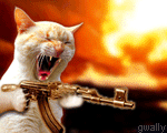 user487_pic76_1231740887_thumb.gif