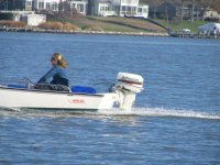 Whaler1.jpeg