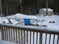 IMG_4459.JPG