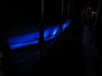 IMG_1115.jpg