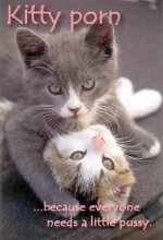 everyone_needs_pussy-1567.jpg