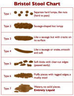 350px-Bristol_Stool_Chart.png