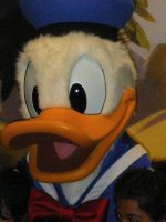 dduck.jpg