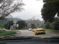 IMG_2452.jpg