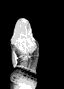 avatar_5514.gif