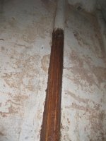 Project - X 027 (Large).jpg