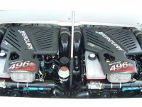 sunsation6 (Small).jpg