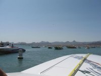 IMG_1176.jpg