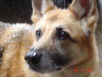 Shelbi 032.jpg