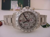 116509Met.JPG