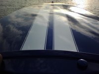 0502091832.jpg