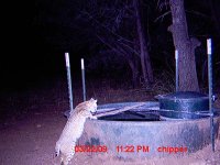 image006.jpg
