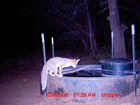 image007.jpg