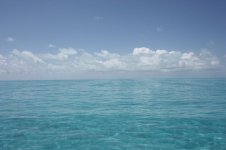 Bahamas May 2009 097 [Desktop Resolution].jpg