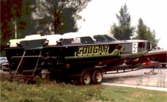 Active-Cougar.jpg