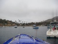 DSC06194.jpg