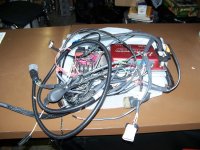 Picture_0540.jpg
