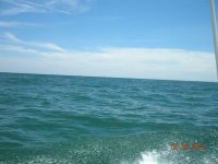 DSCN2579.jpg