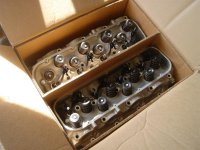 DSC03510 (Medium).JPG