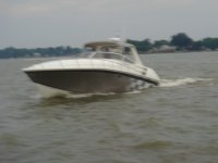 LPR 09 029.jpg