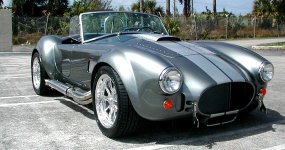 cobra.jpg