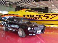 shelby1.jpg