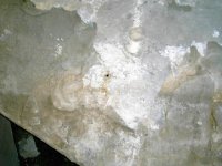 PICT0658.jpg