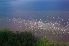 Copy of lake  bash 1.jpg