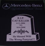 cat killer decal 003.jpg