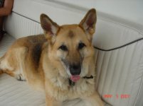 Summer '07 053.jpg