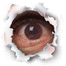 avatar13920_7.gif