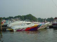 Nauti Goose 008.jpg