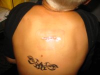 big bad brad's back 006.jpg