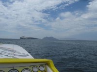 IMG_3487.jpg