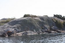 G'bay & Western Islands Sept 2009 038 [].JPG