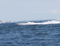 NY-NJ Run 13.jpg
