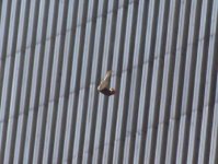 wtc1.jpg